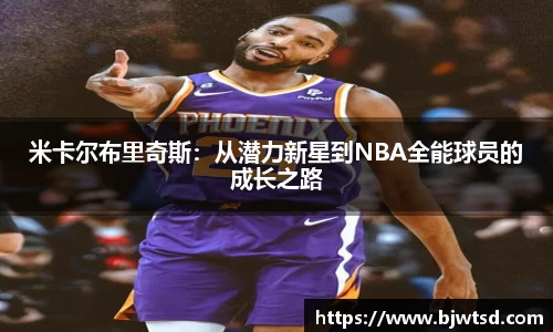 Mksport体育app官网入口